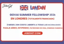 GovAI Summer Fellowship 2026 en Londres (Totalmente Financiada)