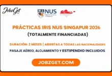 Prácticas IRIS NUS Singapur 2026 (Totalmente Financiadas)