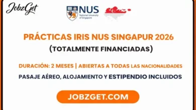 Prácticas IRIS NUS Singapur 2026 (Totalmente Financiadas)