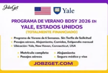 Programa de Verano BDSY 2026 en Yale, Estados Unidos (Totalmente Financiado)